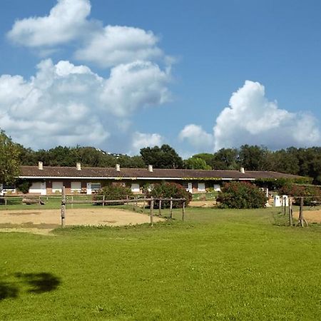 הוסטל סנטה כריסטינה ד'ארו Residential Horse Club Costa Brava חדר תמונה