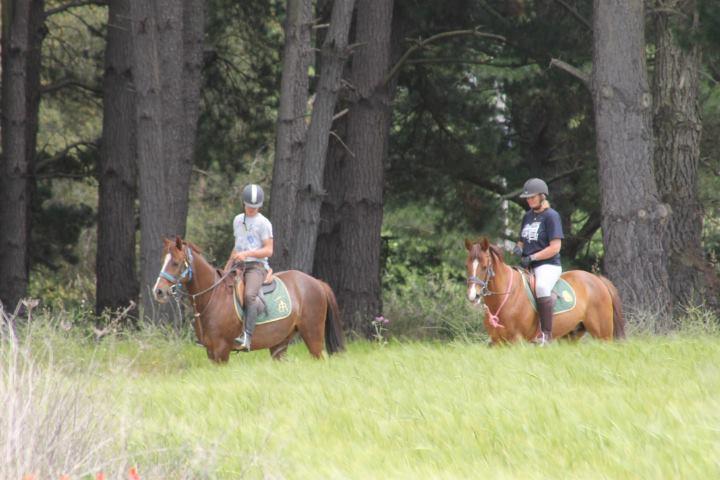 הוסטל סנטה כריסטינה ד'ארו Residential Horse Club Costa Brava מראה חיצוני תמונה