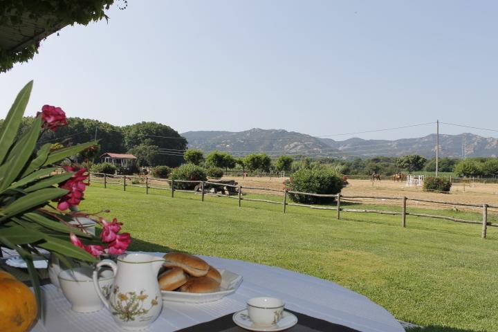 הוסטל סנטה כריסטינה ד'ארו Residential Horse Club Costa Brava חדר תמונה